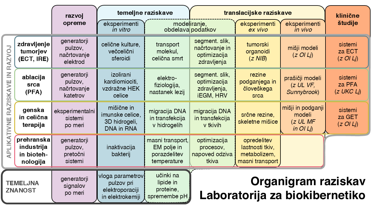Organigram raziskav Laboratorija za biokibernetiko
